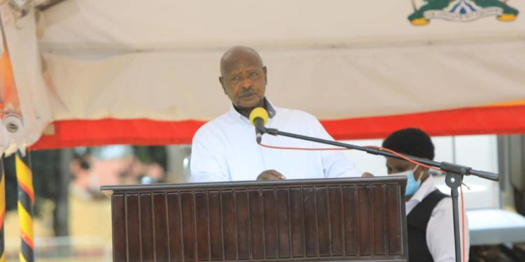 Museveni warns MPs against failed agro ventures