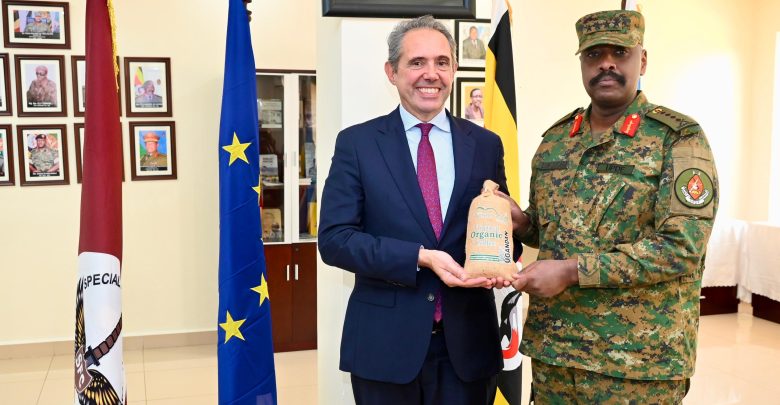 EU Great Lakes Envoy Visits Uganda Over Crisis In DRC